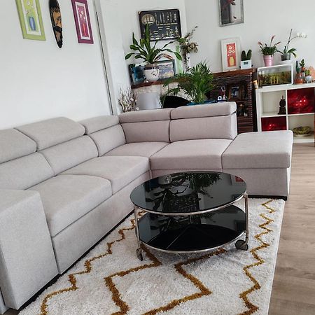Chambre Chez Habitant 1 Carbon-Blanc Dış mekan fotoğraf